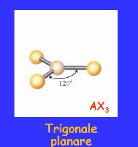 NS = 3 GEOMETRIA TRIGONALE PLANARE (AX 3, AX 2 E) a) Molecole con tre legami e nessun doppietto solitario (AX 3 ) sono