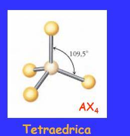 NS = 4 GEOMETRIA TETRAEDRICA (AX 4, AX 3 E, AX 2 E 2 ) a) Molecole con quattro legami e nessun doppietto solitario