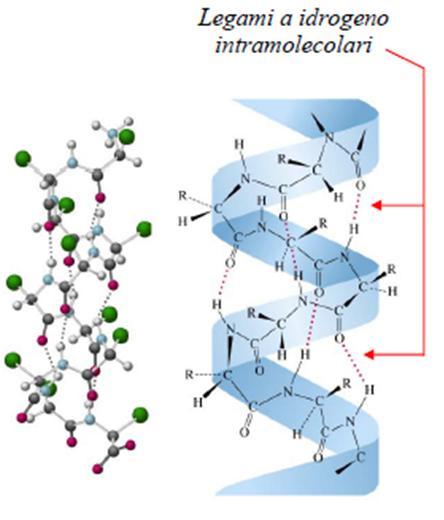 Proteine: