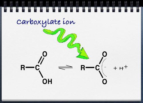 Reazioni degli Acidi carbossilici Analogamente ad alcoli e fenoli, gli acidi carbossilici si ionizzano perdendo un H dall'ossidrile, ma