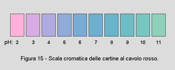 Prova a costruire la