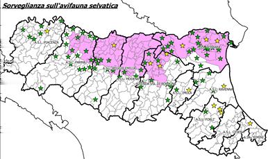 Sorveglianza corvidi 2012 Comuni con