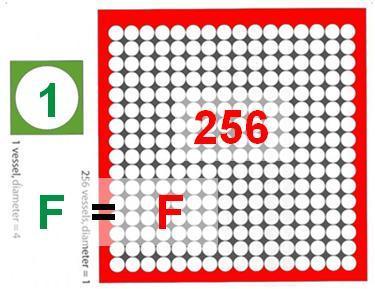 Net Photosynthesis (% of max)