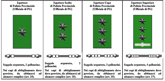 Art. 24 Categorie D e Dirigenti Piastrina in materiale metallico o plastico, a sfondo verde, di dimensioni mm. 57x29.