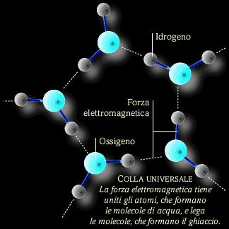 essi particelle o atomi di una molecola.