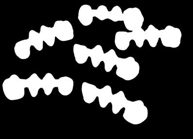 ZS ZS grezzo circolare (100x16), 1 pz. ZS grezzo circolare (100x20), 1 pz.