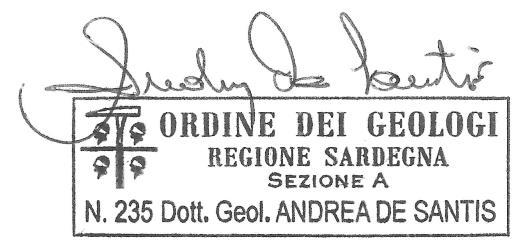 Pagina 14 CONSIDERAZIONI CONCLUSIVE Sulla base di quanto precedentemente descritto si riportano le seguenti considerazioni conclusive: l area interessata dall intervento progettuale è caratterizzata