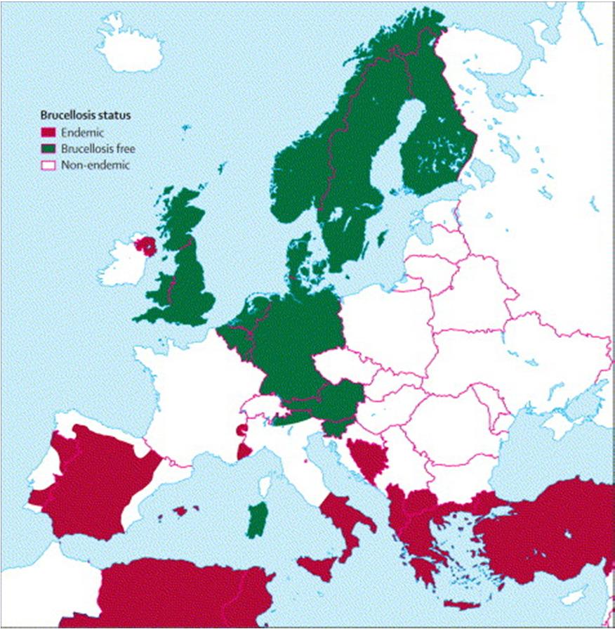 Mediterraneo Neglected disease in the developing countries neglected