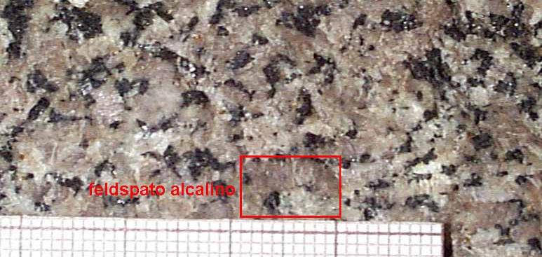 feldspato potassico, poco plagioclasio, anfibolo.