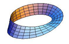 Una delle figure topologiche più