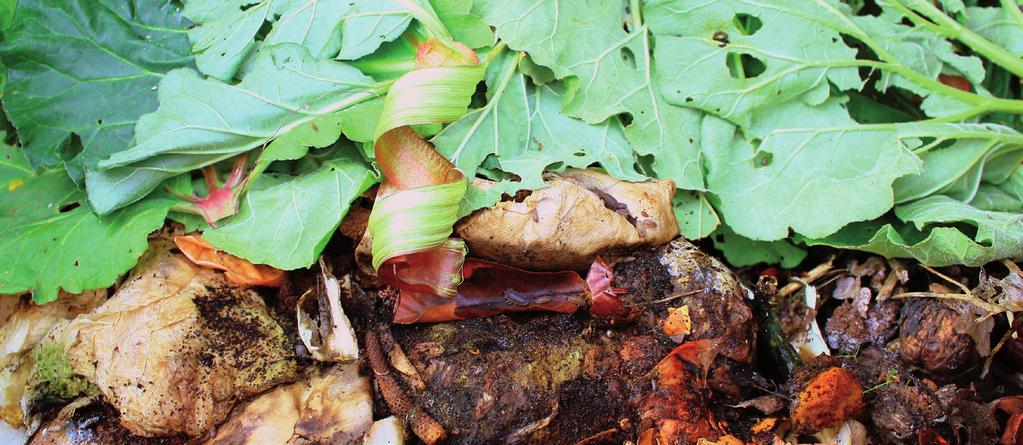 Il compostaggio Il compostaggio domestico è un processo naturale che consente di ricavare terriccio di buona qualità dagli scarti organici (avanzi di cibo, scarti di frutta e verdura, filtri di caffè