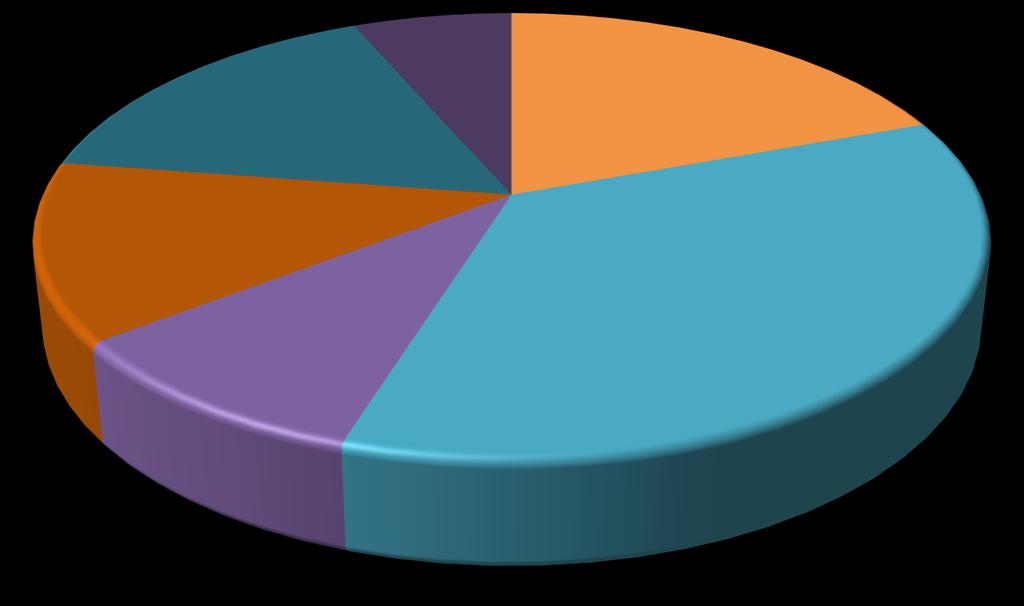 18/05/2017 12 AGGREGAZIONE SETTORI A2 A6 A5 fa A4 A3 A1 SERVIZI 16% ARTIGIANATO 6%