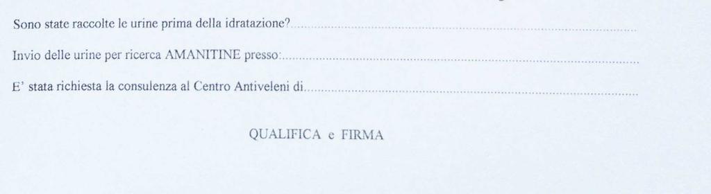 cui si ritrovano quasi sempre intatte. La loro misura viene espressa in µm.