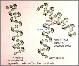 stabilizzate da legami a idrogeno come nel DNA.