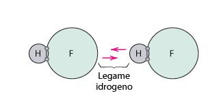 LEGAME SECONDARIO IDROGENO Si trova nelle molecole in cui l idrogeno forma un legame covalente con il fluoro (come nell HF), con l ossigeno (come nell H 2 O) o l azoto (come nell NH 3 ).