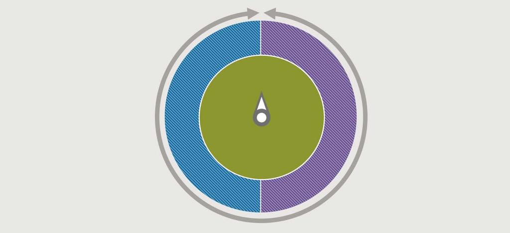 Cosa sono gli alternativi liquidi?