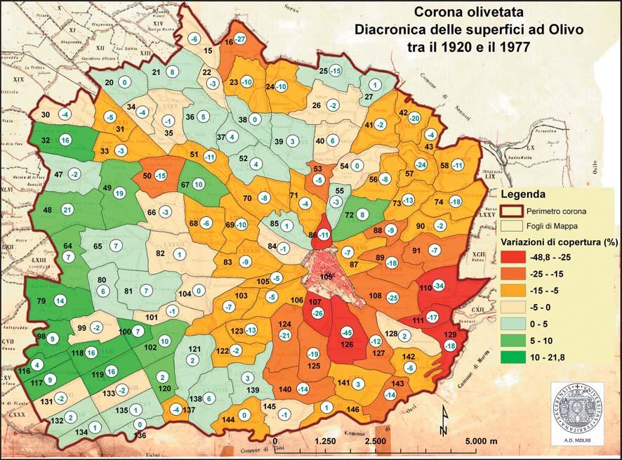 TABELLA 6 Prospetto della dinamica delle superfici ad olivo nel territorio comunale di Sassari tra il XIX e il XXI secolo ANALISI MULTITEMPORALE DEL CONSUMO DEGLI OLIVETI PERIURBANI NEL NORD OVEST