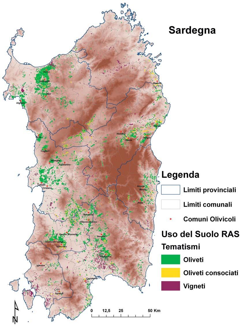 ANALISI MULTITEMPORALE DEL CONSUMO DEGLI OLIVETI PERIURBANI NEL NORD OVEST DELLA SARDEGNA Tavola I - Oliveti e Vigneti della Sardegna nella Carta di Uso del suolo della RAS, 2003 degna nella prima