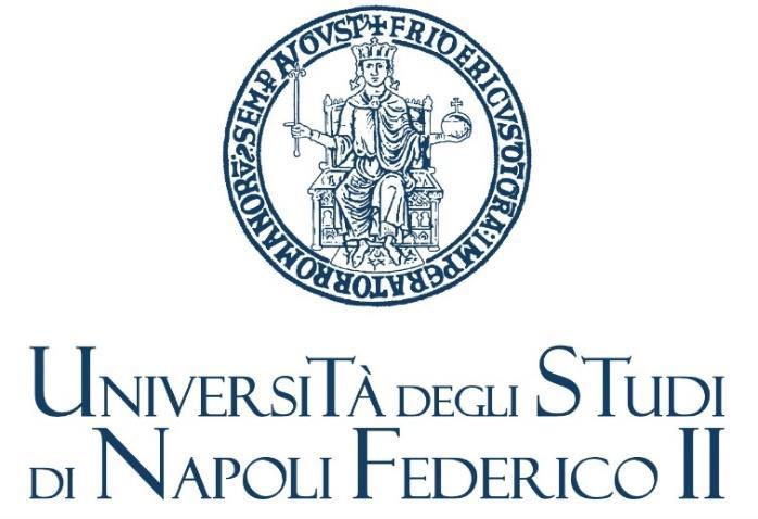 progettuale in cui il tema dell appartenenza alla