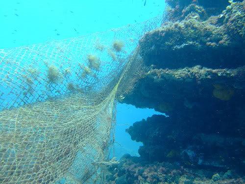 Raccolta in mare delle reti fantasma (ALDFG) Distribuzione di questionari ai pescatori su posizione delle reti fantasma