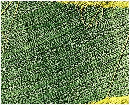 CELLULOSA È il principale costituente del legno circa il 40-45% di sostanza secca È situata soprattutto nella parete II aria Si trova nei vegetali superiori e inferiori (briofite, alghe, funghi) ed