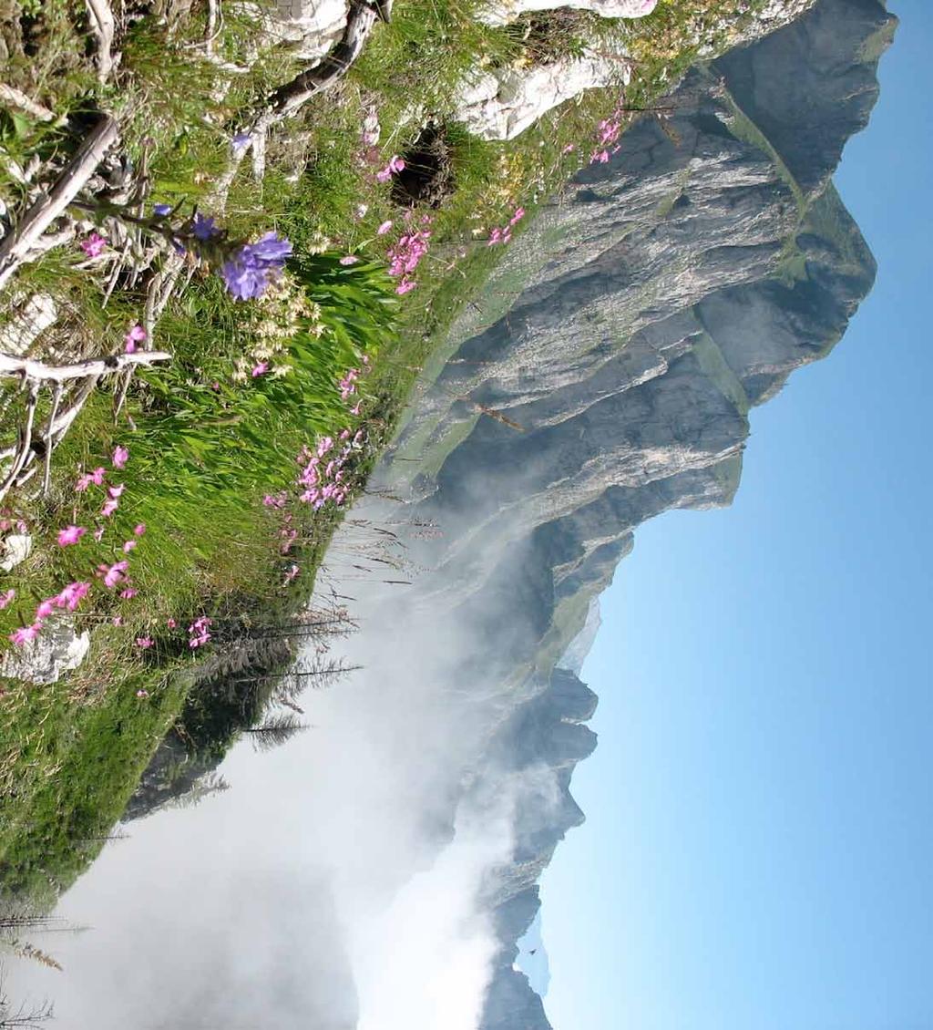 Pag. 7 ESTATE Escursioni e relax nella natura I sentieri del cuore Cuore del Parco Nazionale Dolomiti Bellunesi, il feltrino è un territorio ricco di sorprese faunistiche e soprattutto floreali: per