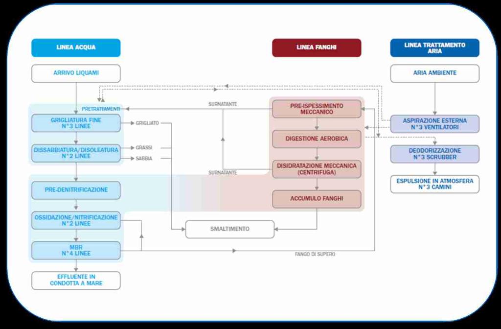 SCHEMA DI TRATTAMENTO