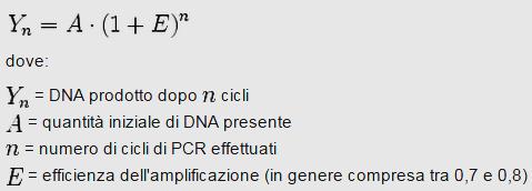 Resa teorica di una reazione di PCR a partire da una singola copia di DNA Numero di cicli 1 2 3 4 5 6 7 8 9 10 11 12 13 14 15 16 17 18 19 20 21 22 23 24 25 26 27 28 29 30 2 4 8 16 32 64 128 256 512 1.