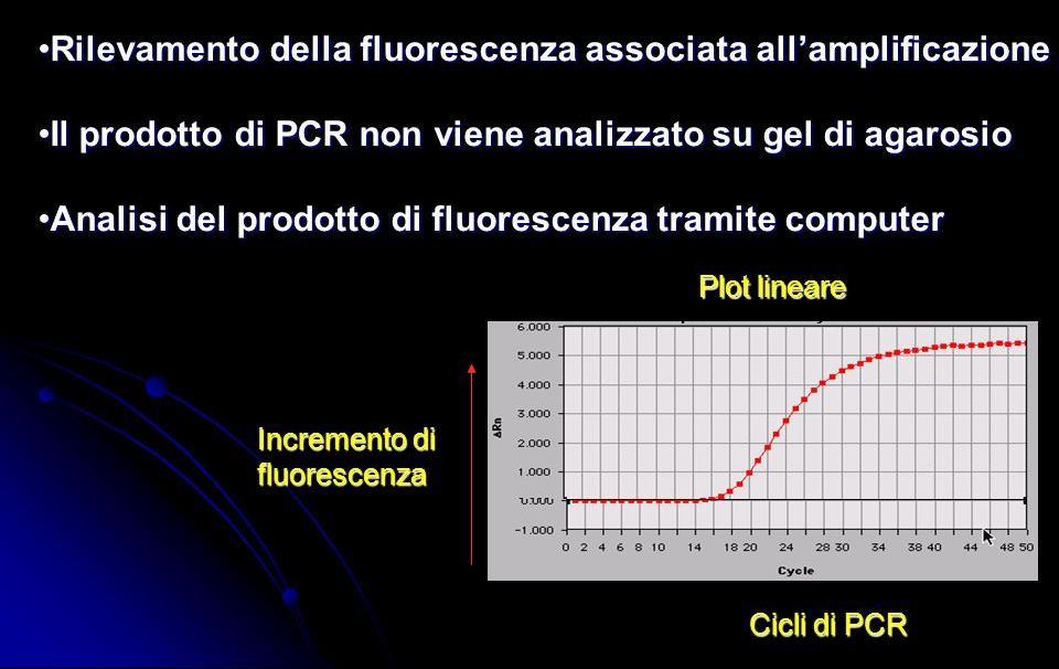 PCR Quantitativa