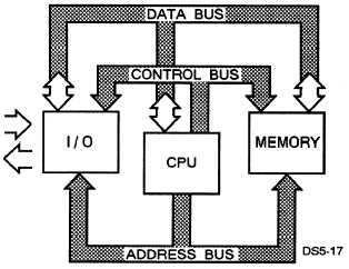 Comunicazione tramite bus Le linee di comunicazione tra il microprocessore e i dispositivi di supporto sono denominate bus. Si chiama bus dati, o data bus, il gruppo delle linee che trasportano dati.