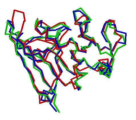 flexible Le regioni variabili della struttura (generalmente loop) ed in particolare