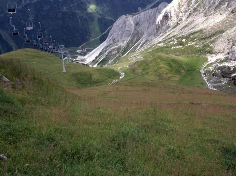 dall erosione 1 soprattutto al di sopra del limite del bosco Semina combinata Adatto a tutte le situazioni, Vegetazione autoctona 2 con la posa di zolle soprattutto alle scarpate Rotoli di cotica