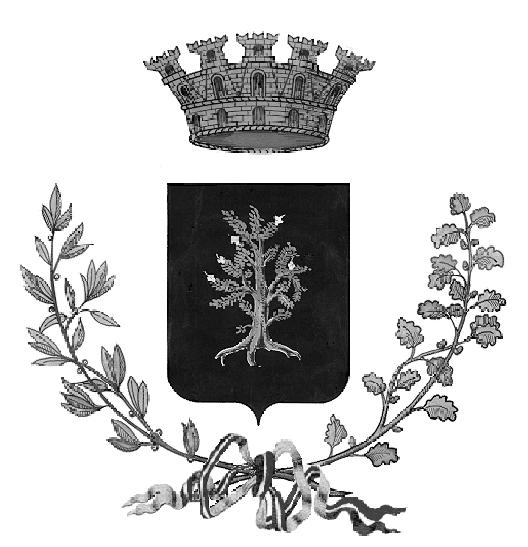 COMUNE DI BRUGHERIO (PROVINCIA DI MONZA E DELLA BRIANZA) N.