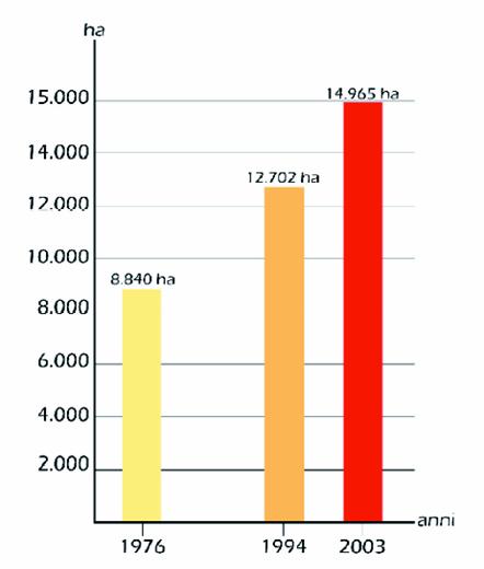 Sistema Insediativo L evoluzione del territorio