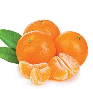 Clementine 1 a qualità PER 1