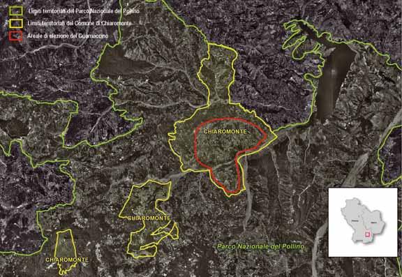 CARATTERIZZAZIONE DI UN VITIGNO AUTOCTONO LUCANO Guarnaccino, un vitigno per valorizzare il territorio Il Guarnaccino n.