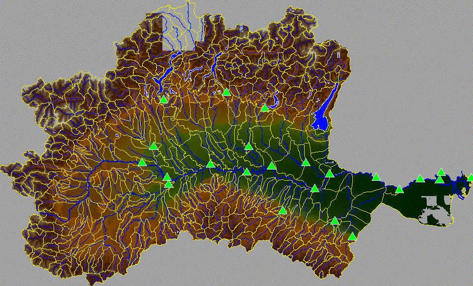 2000 Il sistema di previsione Efforts (Todini 1992) Previsione a 36 ore Nella