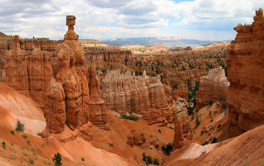 Dettagli di ogni singola giornata Primo giorno Si parte, direzione est. E si comincia ad attraversare il deserto e la famosa e stupefacente Death Valley puntando su Las Vegas.