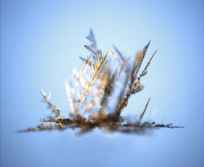 Varie forme della neve meteorica il processo avviene nella libera atmosfera e quindi in condizioni ovviamente molto variabili dando luogo a una grande molteplicità di forme F1 PIATTI F2 STELLE F3