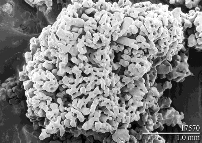 Varie forme della neve meteorica il processo avviene nella libera atmosfera e quindi in condizioni ovviamente molto variabili dando luogo a una grande molteplicità di forme F1 PIATTI F2 STELLE F3