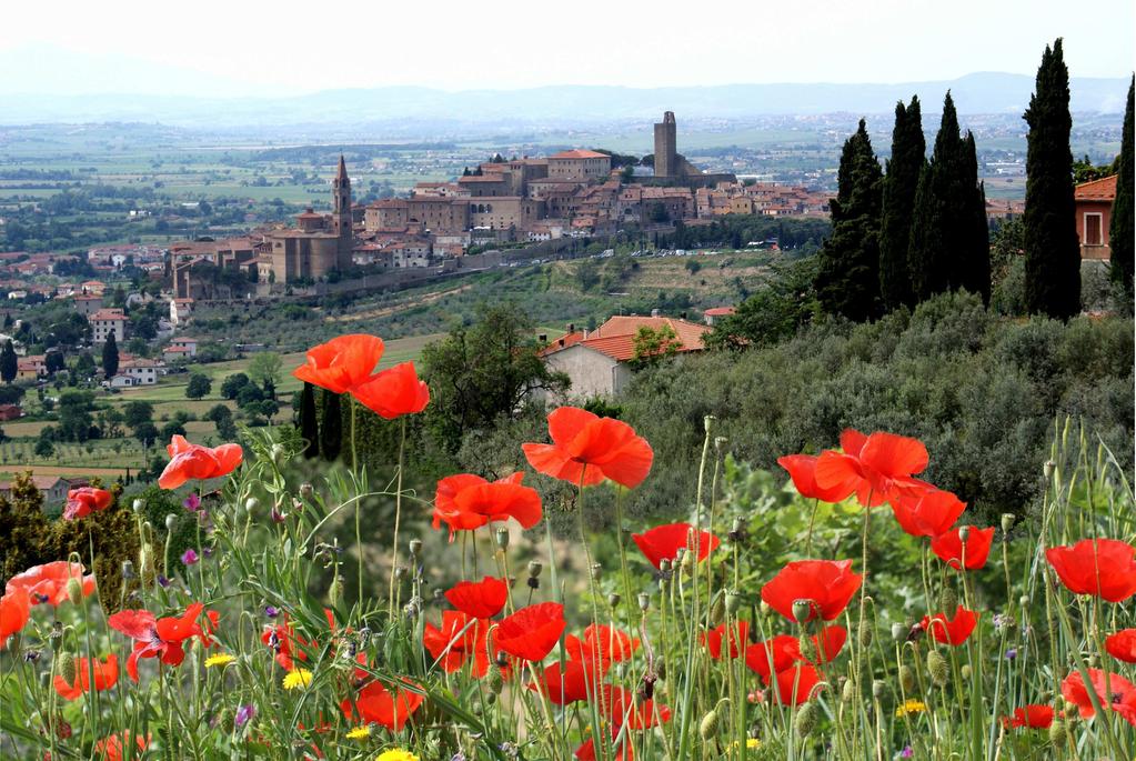 QUELLE DI SEGUITO RIPORTATE SONO UN'ESTRATTO DI NOTIZIE PUBBLICATE SULLA GUIDA AI SERVIZI DI CASTIGLION FIORENTINO PER LA CONSULTAZIONE COMPLETA DELLA GUIDA COLLEGARSI AL SEGUENTE LINK www.comune.