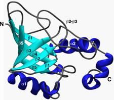 Peptidi, Polipeptidi e Proteine peptide = un prodotto della condensazione di amminoacidi dipeptide = 2 aa,.. ecc.