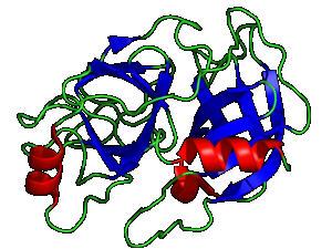 lassificazione delle Proteine lassificazione per forma globulari fibrose tripsina lassificazione per funzione collagene