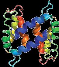 CONDA-PRONADISA rappresenta uno dei maggiori produttori al mondo di agar, agarosi e terreni per microbiologia di altissima qualità.