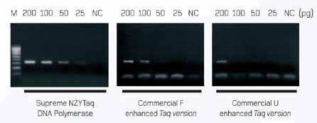TAQ Note SUPREME NZYTAQ DNA POLYMERASE (Hot Start - High Performance) Supreme NZYTaq DNA polymerase contiene una forma modificata ricombinante di Taq DNA polymerase con capacità hot-start.