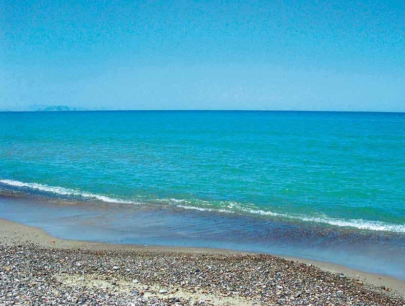 sicilia campofelice di roccella fiesta hotel garden beach**** fiesta hotel athenee palace**** Il Fiesta Hotel Garden Beach mette a disposizione dei clienti strutture moderne e confortevoli.