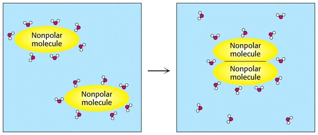 LE SOSTANZE NON POLARI, IDROFOBICHE Esse sono praticamente insolubili in acqua, l acqua