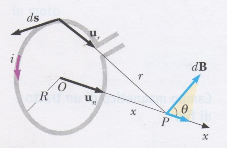 . Spira circolare Consideriamo il campo magnetico sull asse di una spira circolare di raggio R, percorsa da corrente continua i.