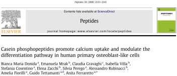 TRPV6 e L-type Ca-CPP Stimolano uptake di Ca e la mineralizzazione in vitro di osteoblasti