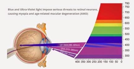 7. FATTORE DI RISCHIO FOTOBIOLOGICO Il LED per sua natura emette